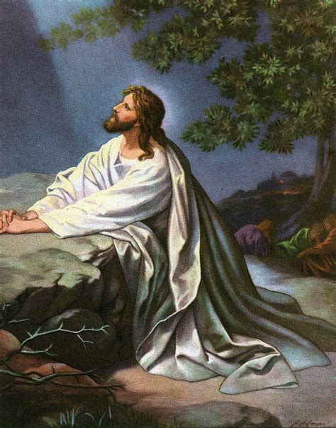 Christ In Garden Of Gethsemane Photograph By Graphicaartis Pixels