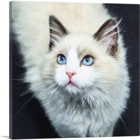 Artcanvas Ragdoll Cat Breed Dark Canvas Art Print Ebay