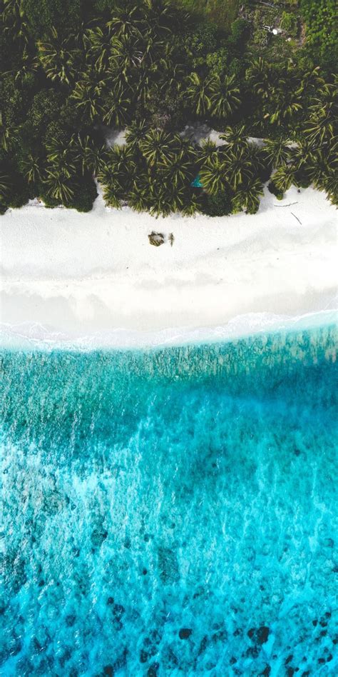 Palms Aerial View Beach Tropical Sea 1080x2160 Wallpaper Aerial