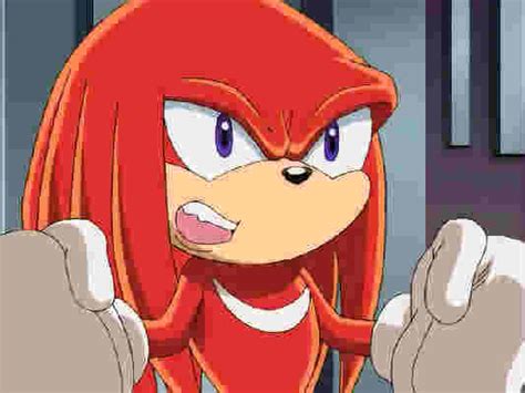 Who Gets Rouge Mad Poll Results Sonic X Fanpop