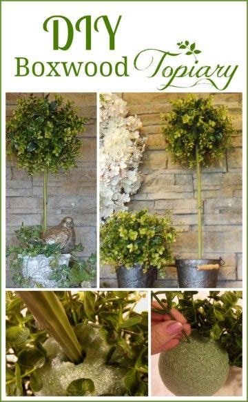 How To Make The Perfect Boxwood Topiary In 5 Easy Steps Boxwood