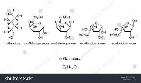 Galactose Gal Monosaccharide Chemical Structure Simple Stock Vector