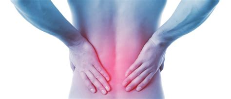 Low back pain is not a specific disease; Is It Hip, Groin or Lower Back Pain? - Houston Physicians ...
