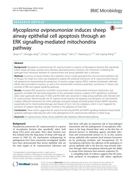 Pdf Mycoplasma Ovipneumoniae Induces Sheep Airway Epithelial Cell