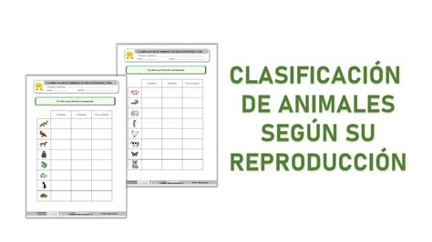 Clasificación De Animales Según Su Reproducción