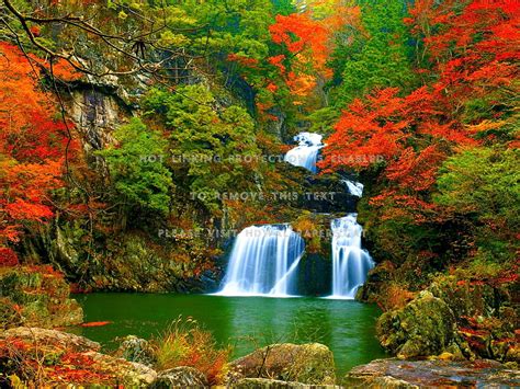 Autumn Falls Forest Nature Waterfalls Hd Wallpaper Pxfuel
