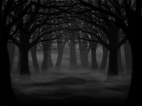 Dark Forest By Shystriker On Deviantart Dark Landscape Forest
