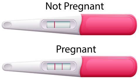 Pregnancy Test Vector Art Icons And Graphics For Free Download