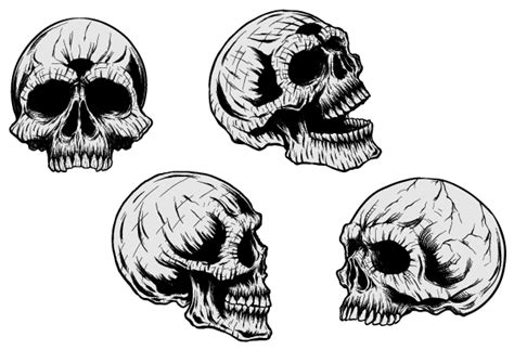 Skulls Clipart 20 Free Cliparts Download Images On