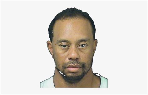Image Tiger Woods Drunk Driving Transparent Png 374x454 Free