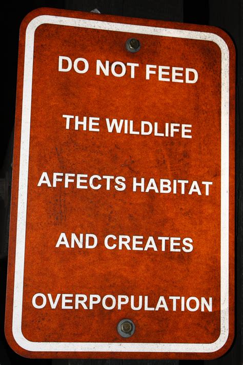 Measures 6x9x.040 and made from.040 thick aluminum metal. Do Not Feed the Wildlife Sign Picture | Free Photograph ...