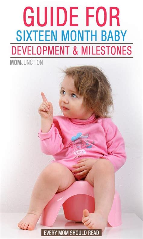 16 Month Old Baby Developmental Milestones 16 Month Old Development