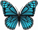 Large butterfly clipart 20 free Cliparts | Download images on ...