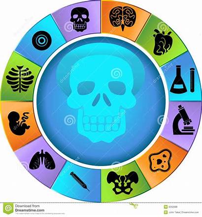 Biology Clipart Wheel Vector Royalty Clipground Cliparts