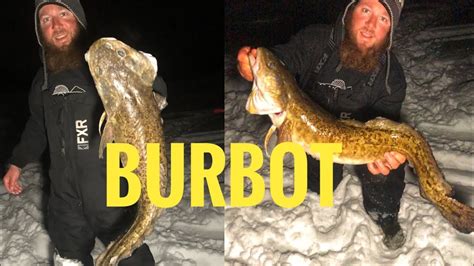 Burbot Ice Fishing New Personal Best Youtube