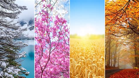 Seasons Wallpapers Top Free Seasons Backgrounds Wallpaperaccess