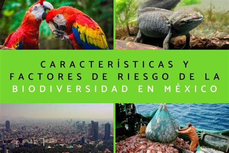 Biodiversidad En México Características Y Factores De Riesgo