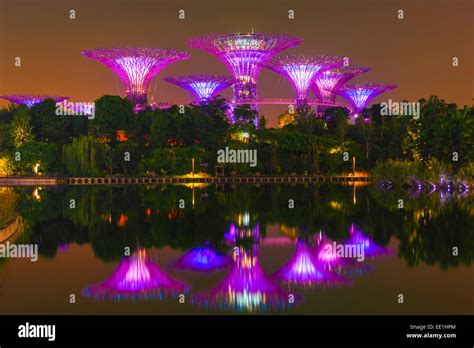Singapore Gardens By The Bay Night High Resolution Stock Photography