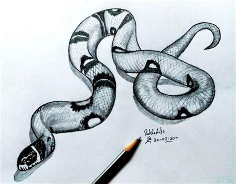 Snake Pencil Drawing