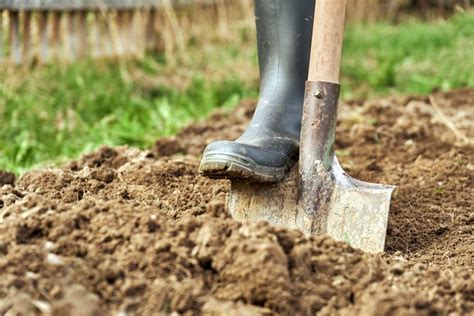 Heavy Clay Soil And How To Improve It With Easy Strategies