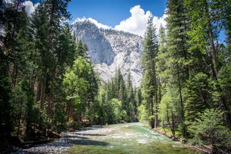 See The Redwoods 7 Best Hikes In Sequoia And Kings Canyon National Parks