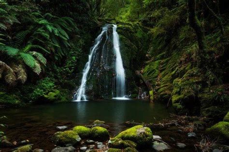 Cascading Waterfall Deep In The Heart Of The Rainforest On Five Day