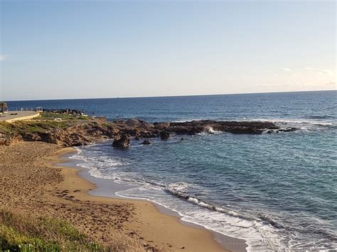 paphos municipal beach 2020 alles wat u moet weten voordat je gaat tripadvisor
