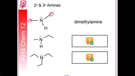 Amines And Amides Flipped Video Youtube