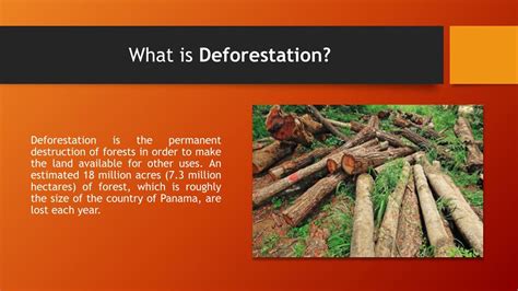 5 Major Causes Of Deforestation