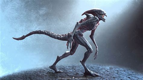 Filme Alien Covenant Prometheus 2 Papel De Parede Grátis Para Pc Hd