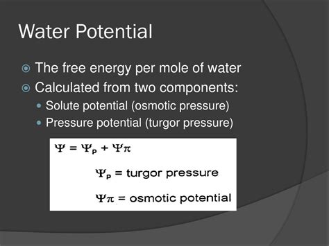 Ppt Water Potential Powerpoint Presentation Free Download Id2180389