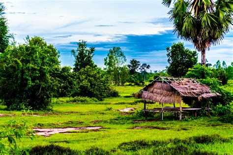 Free Images Landscape Tree Grass Outdoor Meadow Flower Hut