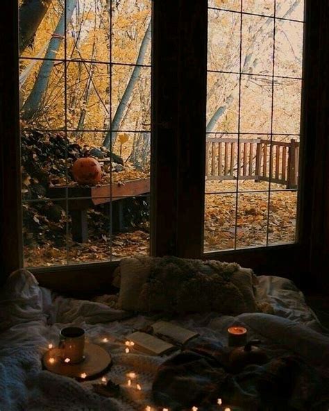 Pin By Şebnemy On Wallpaper Autumn Photography Autumn Cozy Autumn