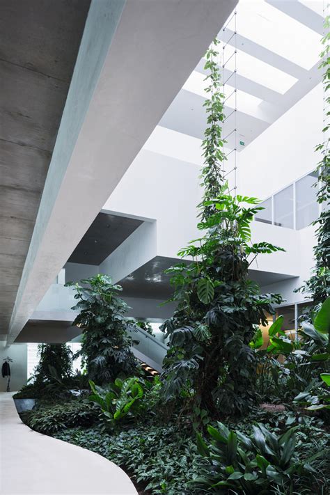 Das zusammenspiel aus design, wirtschaftlichkeit und energetischer optimierung ist eines unserer hauptziele bei jeder projektierung. Intensive Begrünung innen und aussen | Architektur+Technik