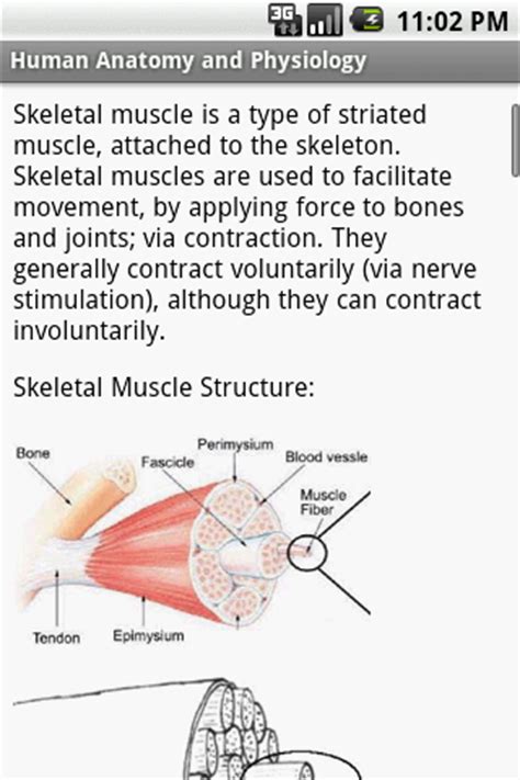 Not only is there a lot to remember, but it can be difficult. Human Anatomy and Physiology Study Guide: Amazon.it: App ...