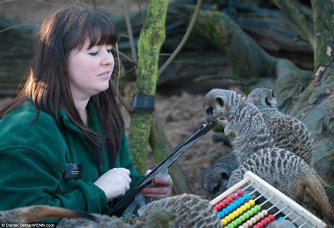 London Zoo Staff Begin Mammoth Annual Task Of Counting Up Their Animals