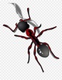 Cartoon Ant Clipart Transparent Background / 1969 x 1641 png 188 кб ...