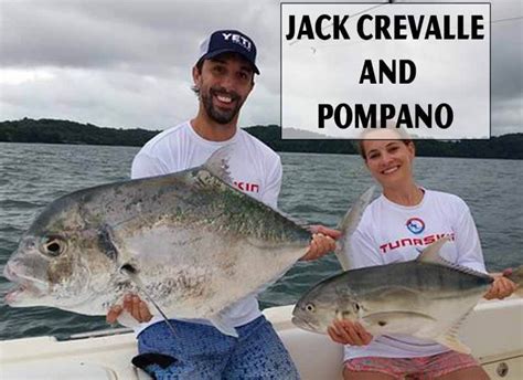 Difference Between A Jack Crevalle Vs Pompano Ouachitaadventures