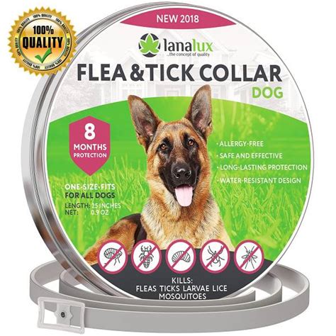 Best Dog Flea Collar 2018 Buyers Guide And Reviews