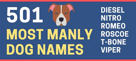 501 Manly Dog Names That Are Unique And Cool Green Garage