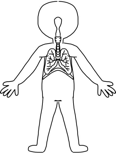 Body System Fun Clipart Panda Free Clipart Images