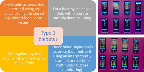 Updated Type 1 Diabetes Management Pillars Left With An Example Of