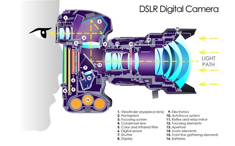 Unveiling The Lens Behind The Dslr Camera What Does The Digital Sensor