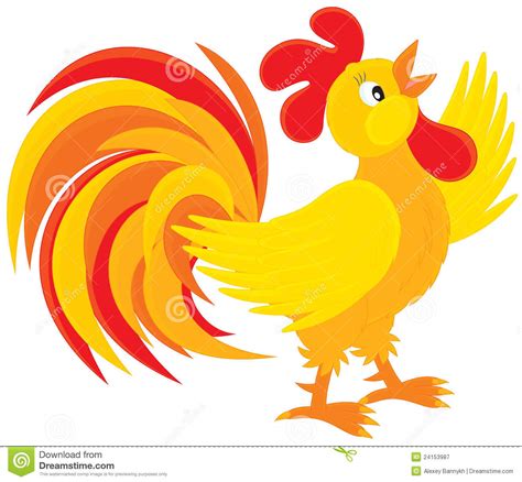 Rooster Stock Vector Illustration Of Farm Domestic