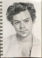 My portrait drawing of Harry : r/harrystyles