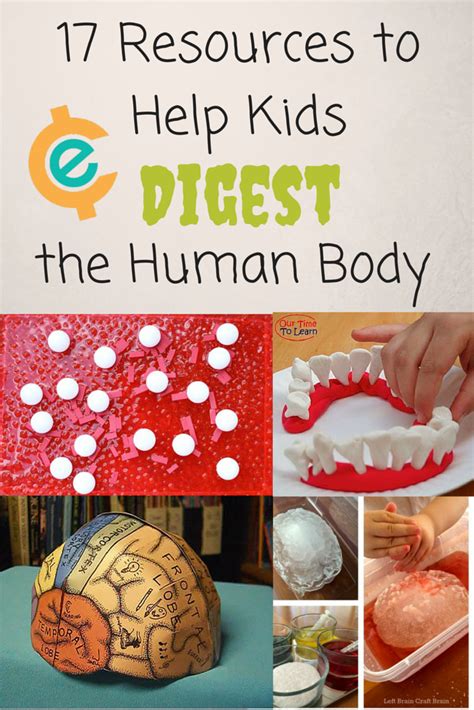 Learn about the human body with these. 17 Resources To Help Kids Digest the Human Body | Educents ...