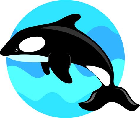 Download High Quality Whale Clipart Jumping Transparent Png Images