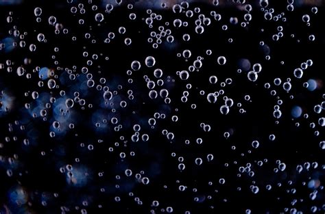 Bubbles Free Stock Photo Public Domain Pictures