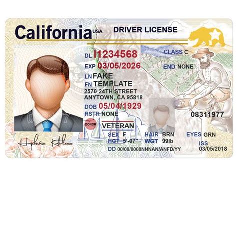 Pin By Rose Vialpando On My Saves Drivers License Ca Drivers License
