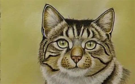 Pastel Pencil Drawing Techniques For Beginners Pencil Drawings Cat